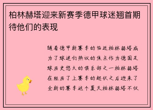 柏林赫塔迎来新赛季德甲球迷翘首期待他们的表现